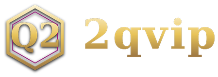 2qvip logo
